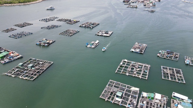 香港南丫岛索罟湾的海鱼养殖筏子视频素材