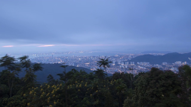 时间:薄雾流向茂密的热带雨林槟榔山视频素材