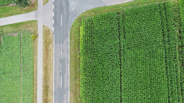 俯卧起坐，倾斜，越过一条铺着沥青的乡村公路，鸟瞰图视频素材