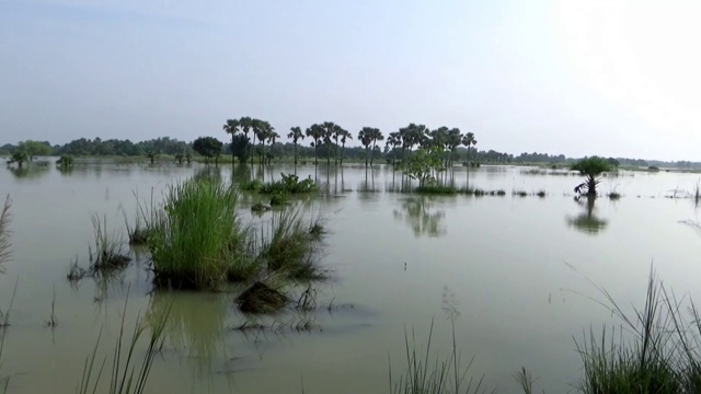 印度西孟加拉邦暴雨后大片湿地被淹没的视频画面视频下载