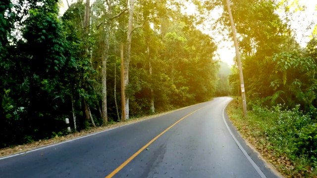 汽车在丛林路上行驶视频素材