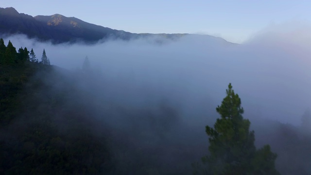 无人机的雾松在窗户在吉玛(千窗户远足)，特内里费，加那利群岛，西班牙，大西洋，欧洲视频素材