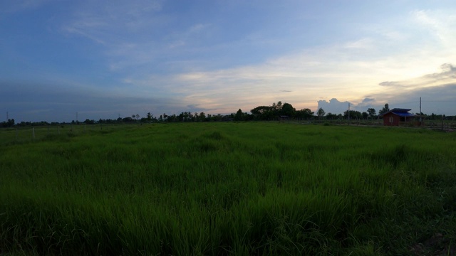 夕阳下的绿地视频素材