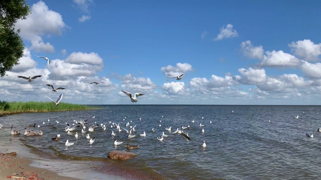 在阳光明媚、风大的日子里，鸟瞰美丽的海景。视频下载