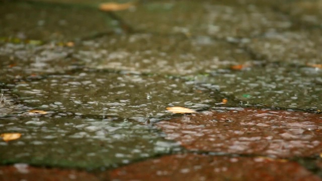 砖路的背景与雨滴视频素材