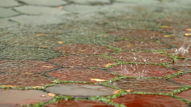 砖路的背景与雨滴视频素材