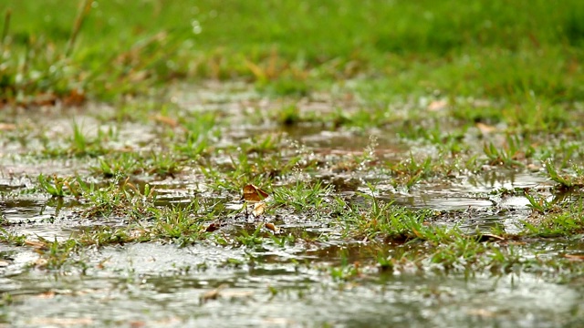 砖路的背景与雨滴视频素材