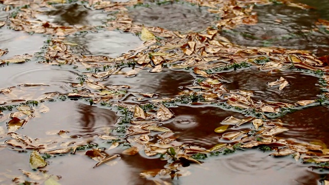 砖路的背景与雨滴视频素材