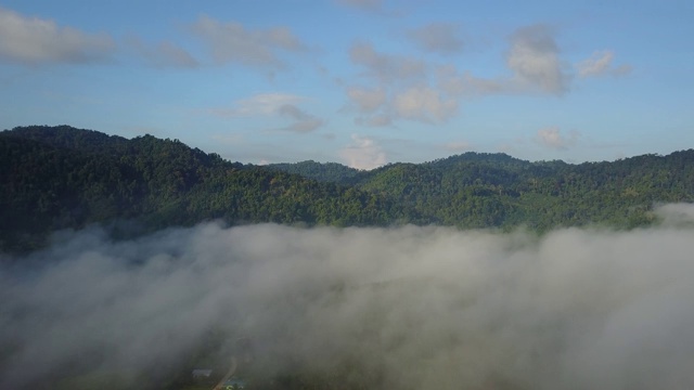 云层和森林上空的航拍镜头视频素材