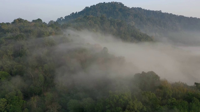 热带雨林和云层的空中塌陷视频素材