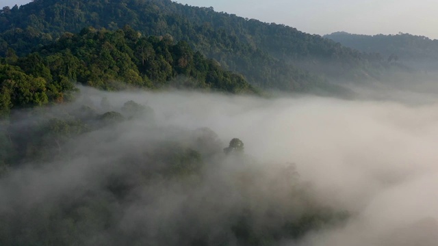 热带雨林和云层的空中塌陷视频素材