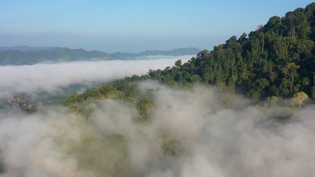 热带雨林和云层的空中塌陷视频素材