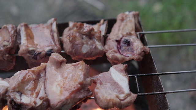 又辣又鲜的猪肉在火烤炉上烤着视频素材