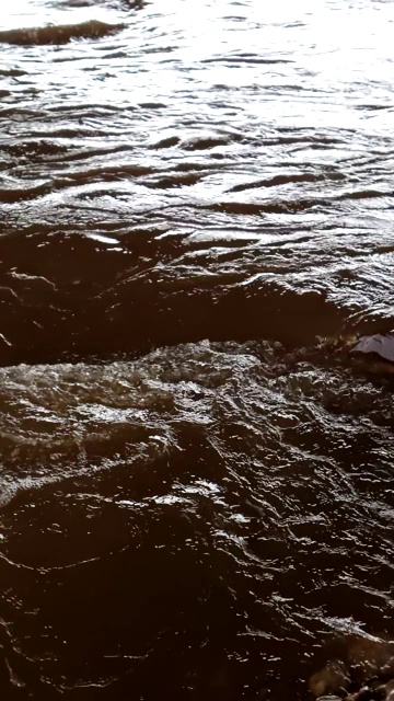 大雨过后，汹涌的河水溢出了堤岸视频素材