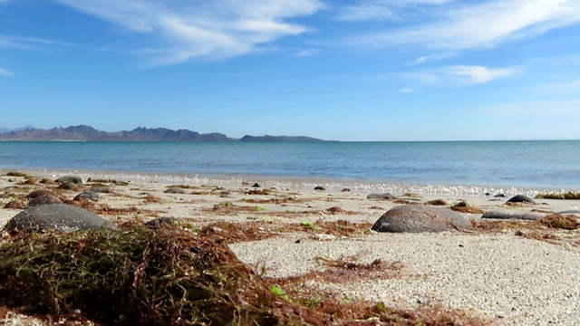 低角度的热带海滩上拍打的海浪视频素材