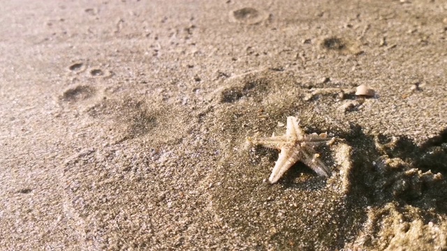 倾覆海星视频下载