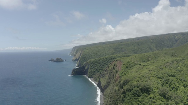 无人机夏威夷岛夏威夷美丽的海岸线森林拍摄山谷4k视频素材