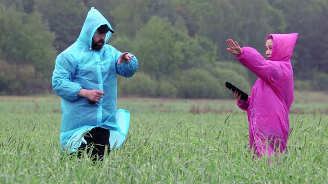 一个在雨中穿着雨衣的农民或农学家在飓风过后用药片检查和测量地里的麦苗视频素材