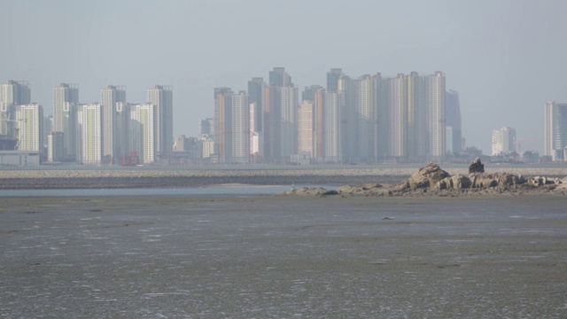 日本海的退潮视频素材