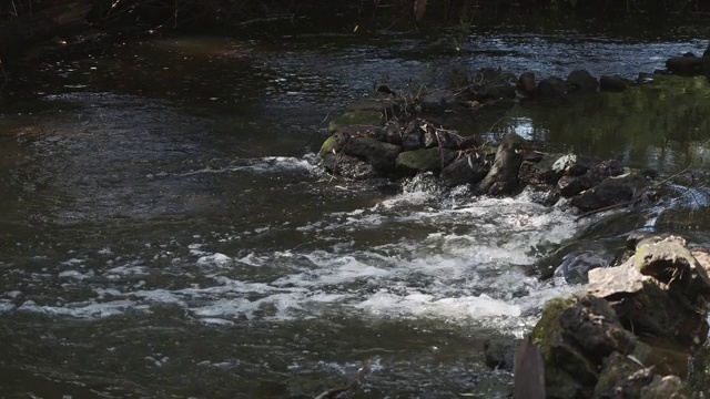 在俄罗斯乡村自然的Pakhra河上的一个石坝。水流视频素材