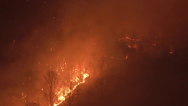 夜间山上发生野火视频素材