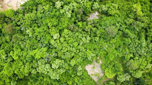 高角度观赏热带森林和山地风景，俯视图无人机飞过乡间的树木视频素材