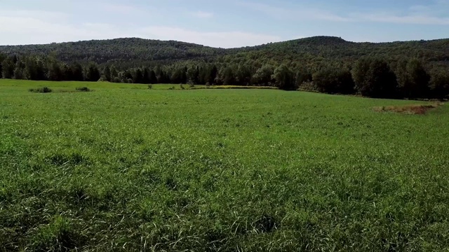 向后飞，靠近草地视频素材