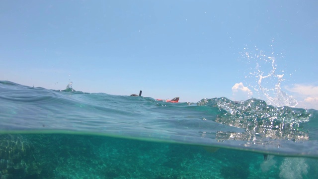 女人在海上浮潜视频素材