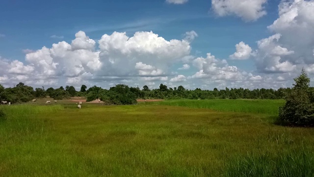 绿色的田野，天空和云彩视频素材