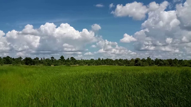 绿色的田野，天空和云彩视频素材