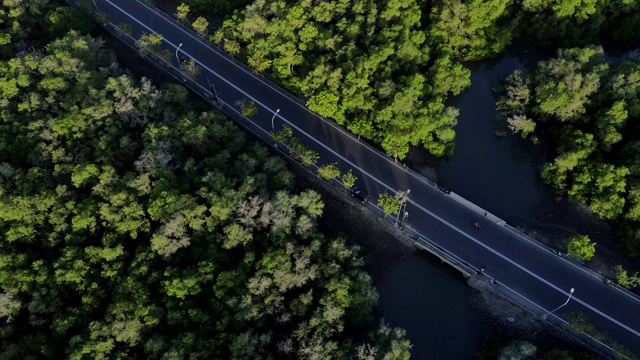 鸟瞰图从飞行的无人机绿树和植物红树林与河流和高速公路在亚洲视频下载