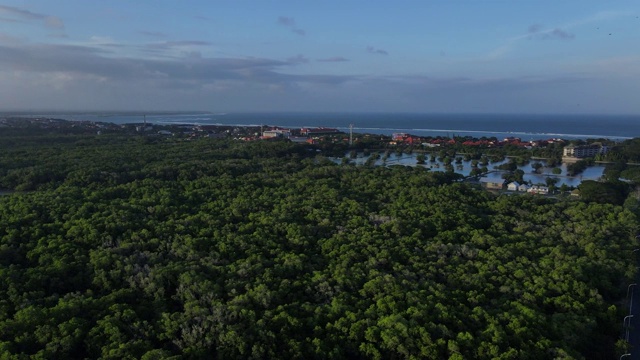 从空中鸟瞰红树林中绿树和植物的嗡嗡声，河流流入大海和通往亚洲村庄的道路视频下载