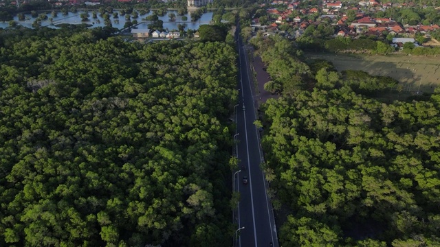 从空中鸟瞰红树林中绿树和植物的嗡嗡声，河流流入大海和通往亚洲村庄的道路视频下载