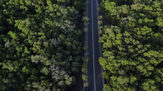 鸟瞰图从飞行的无人机绿树和植物红树林与河流和高速公路在亚洲视频素材