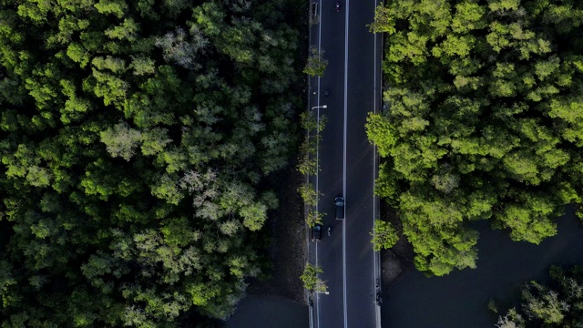 鸟瞰图从飞行的无人机绿树和植物红树林与河流和高速公路在亚洲视频下载