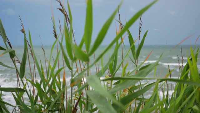 俯瞰海滩，海浪在沙滩上破碎。暑假在海边。在海滩上放松一下。桑迪海滩。日光浴。视频素材