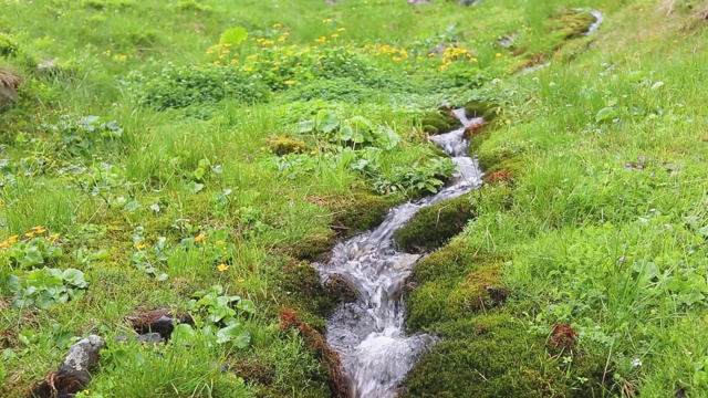 在青山绿水里喝泉水。水会下降。喀尔巴阡山脉，锡涅维尔湖。视频素材