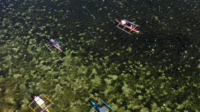 无人机鸟瞰图彩色船只在Siargao的海湾，菲律宾。完美休闲度假旅游4K视频素材