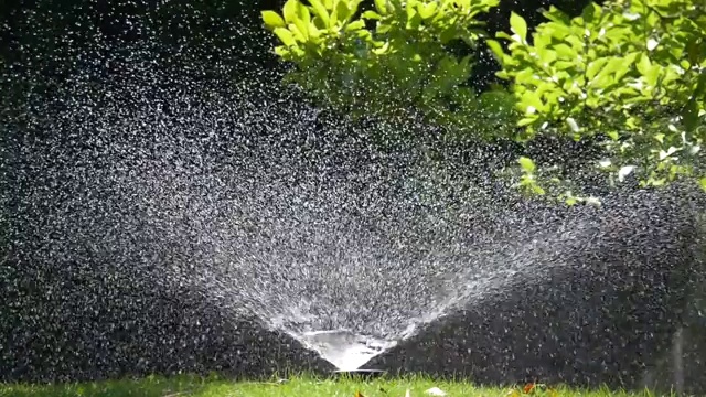 花园里的草坪洒水器视频素材