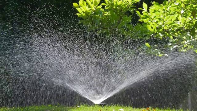 花园里的草坪洒水器视频素材