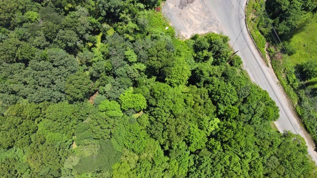 鸟瞰图森林中间的道路，一个美丽的夏天在美国视频素材