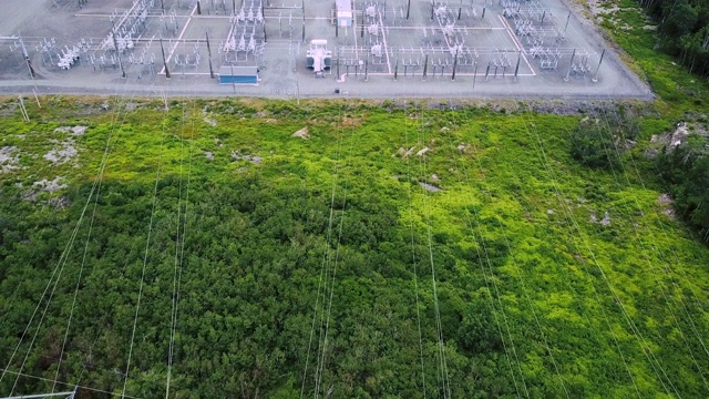 电视频素材