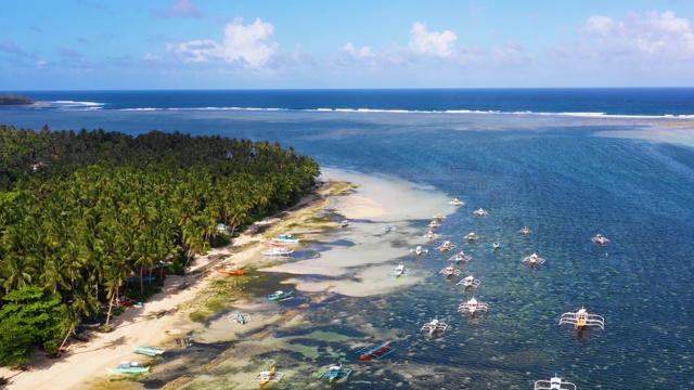 菲律宾Siargao海湾的船只。他们在一个棕榈树森林附近与海洋在背景-无人机4K鸟瞰图视频素材