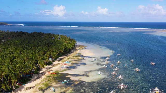 菲律宾Siargao海湾的船只。他们在一个棕榈树森林附近与海洋在背景-无人机4K鸟瞰图视频素材