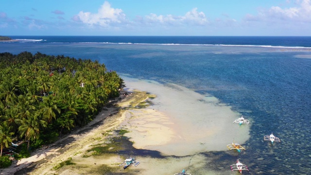 菲律宾Siargao海湾的船只。他们在一个棕榈树森林附近与海洋在背景-无人机4K鸟瞰图视频素材