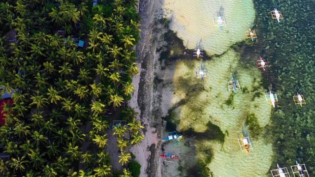 菲律宾Siargao海湾的船只。他们在一个棕榈树森林附近与海洋在背景-无人机4K鸟瞰图视频素材