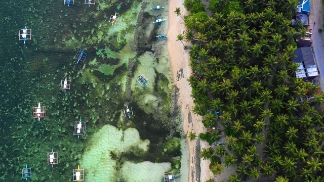 菲律宾Siargao海湾的船只。他们在一个棕榈树森林附近与海洋在背景-无人机4K鸟瞰图视频素材