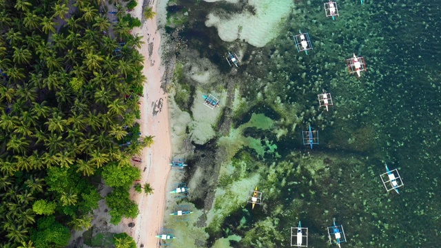 菲律宾Siargao海湾的船只。他们在一个棕榈树森林附近与海洋在背景-无人机4K鸟瞰图视频素材