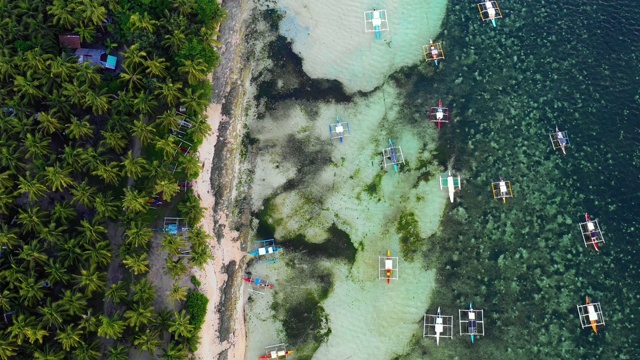 菲律宾Siargao海湾的船只。他们在一个棕榈树森林附近与海洋在背景-无人机4K鸟瞰图视频素材