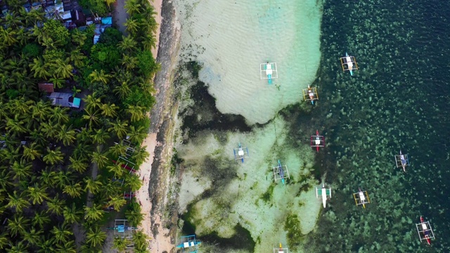 菲律宾Siargao海湾的船只。他们在一个棕榈树森林附近与海洋在背景-无人机4K鸟瞰图视频素材